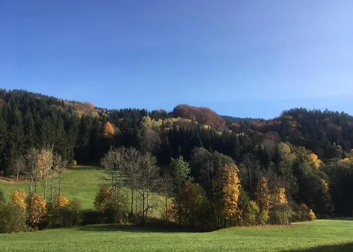 Komfortable Und In Lejlighed *